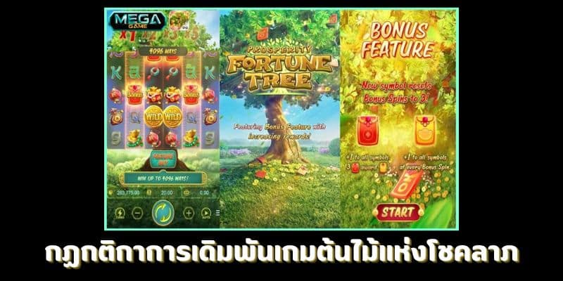 กฏกติกาการเดิมพันเกมต้นไม้แห่งโชคลาภ